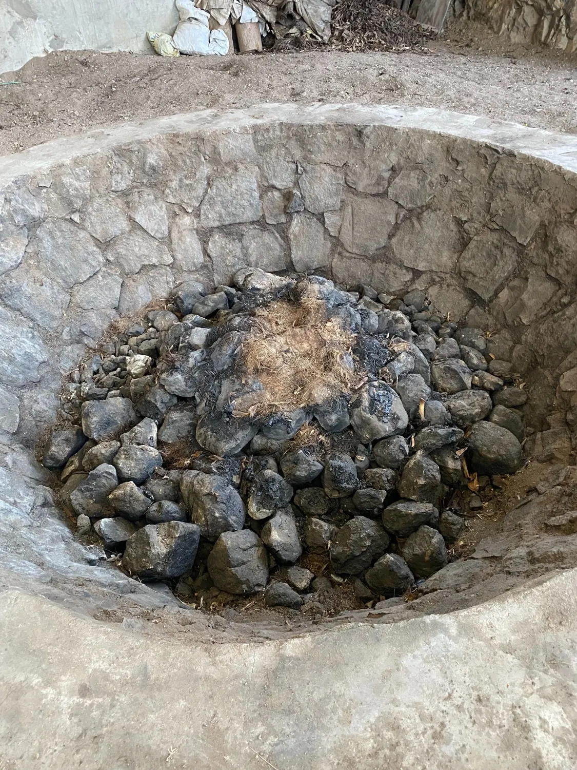 The pit oven being loaded