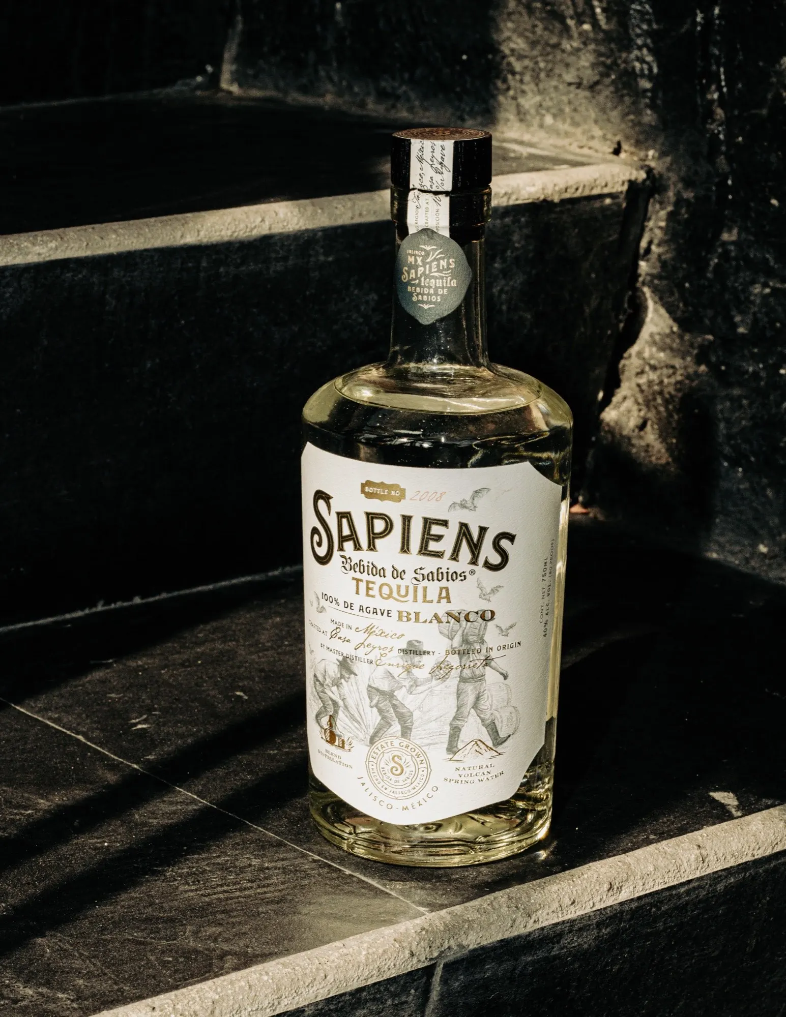 Sapiens Blanco on stone steps